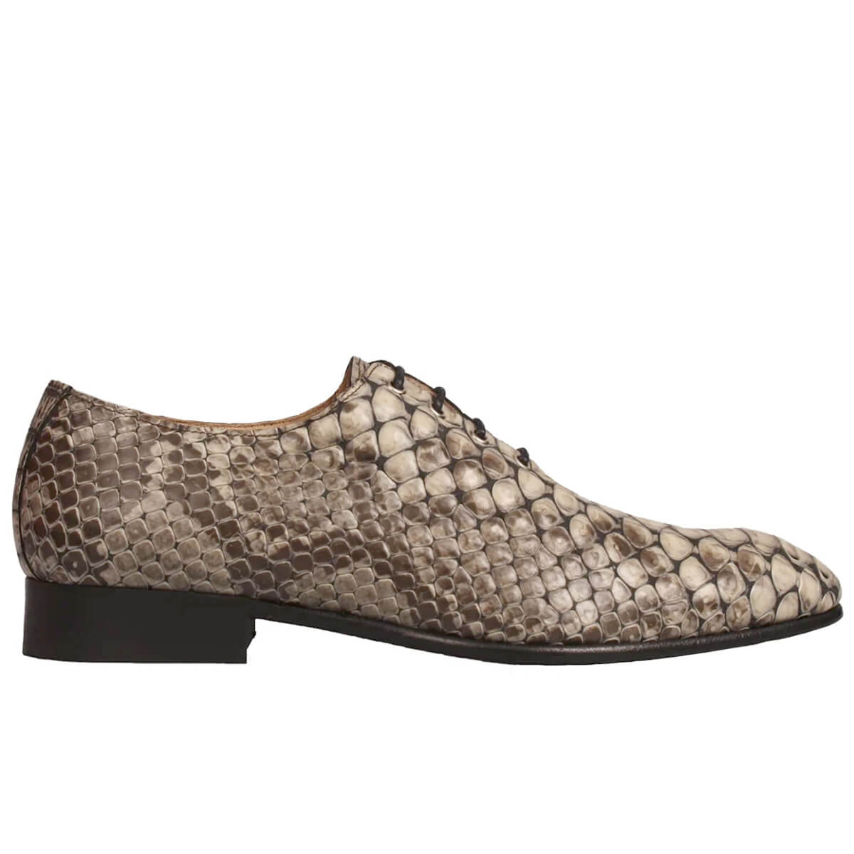 Croco de Luxe