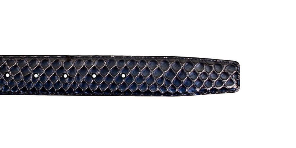 Genesis riem