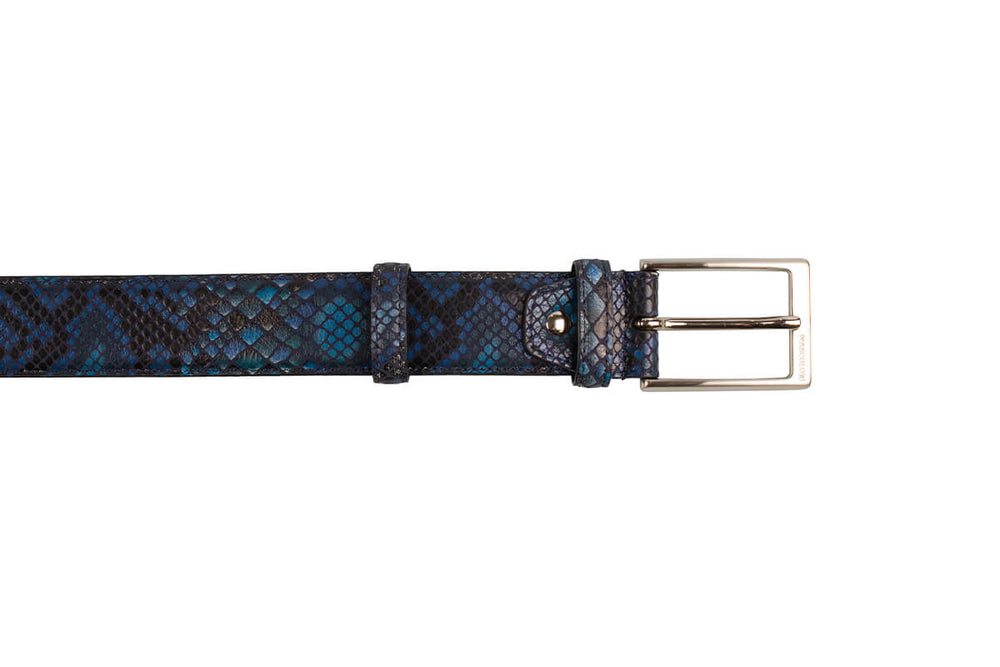 Scylla riem