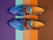 Schmetterling blau