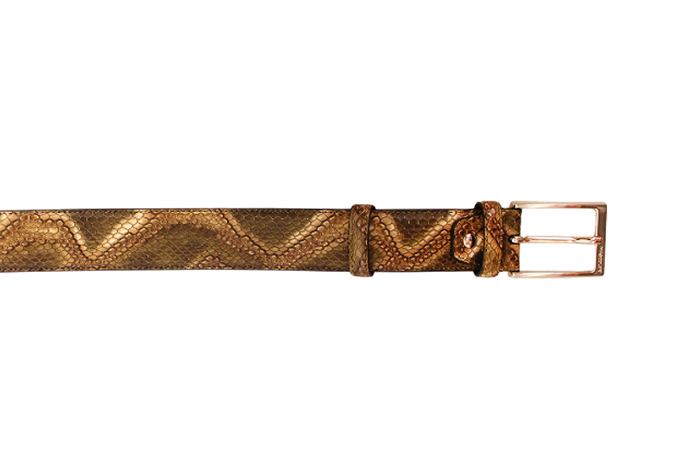 Forest belt