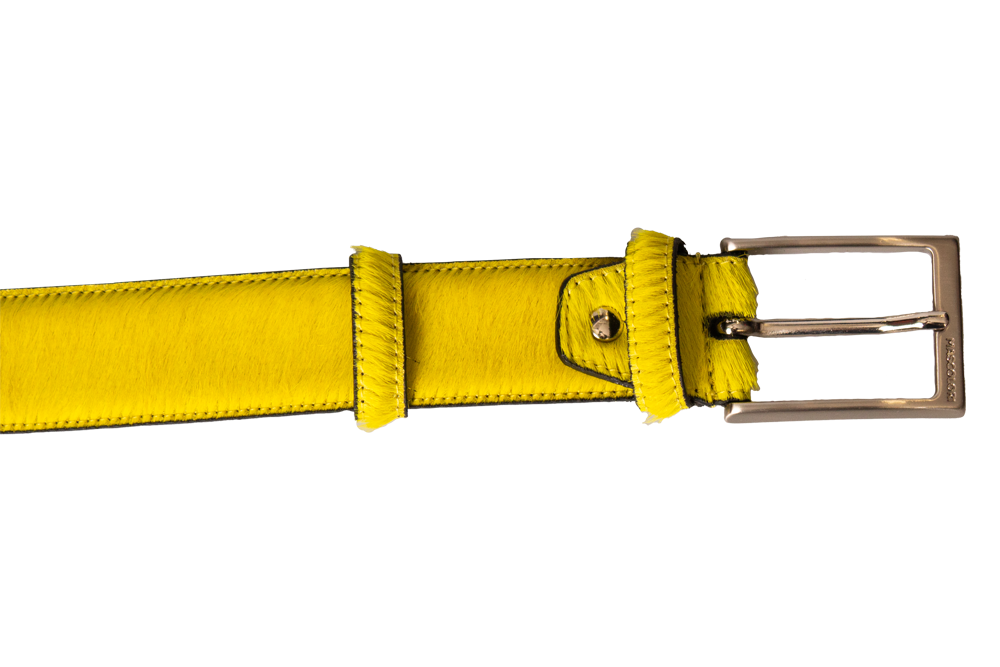 Der gelbe Kanarienvogelgürtel